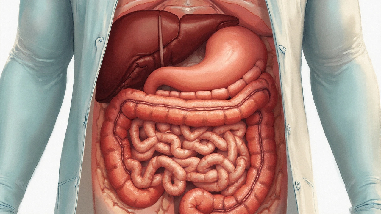 How Pancreatic Duct Blockage Affects Digestive Health - Symptoms, Risks & Treatment