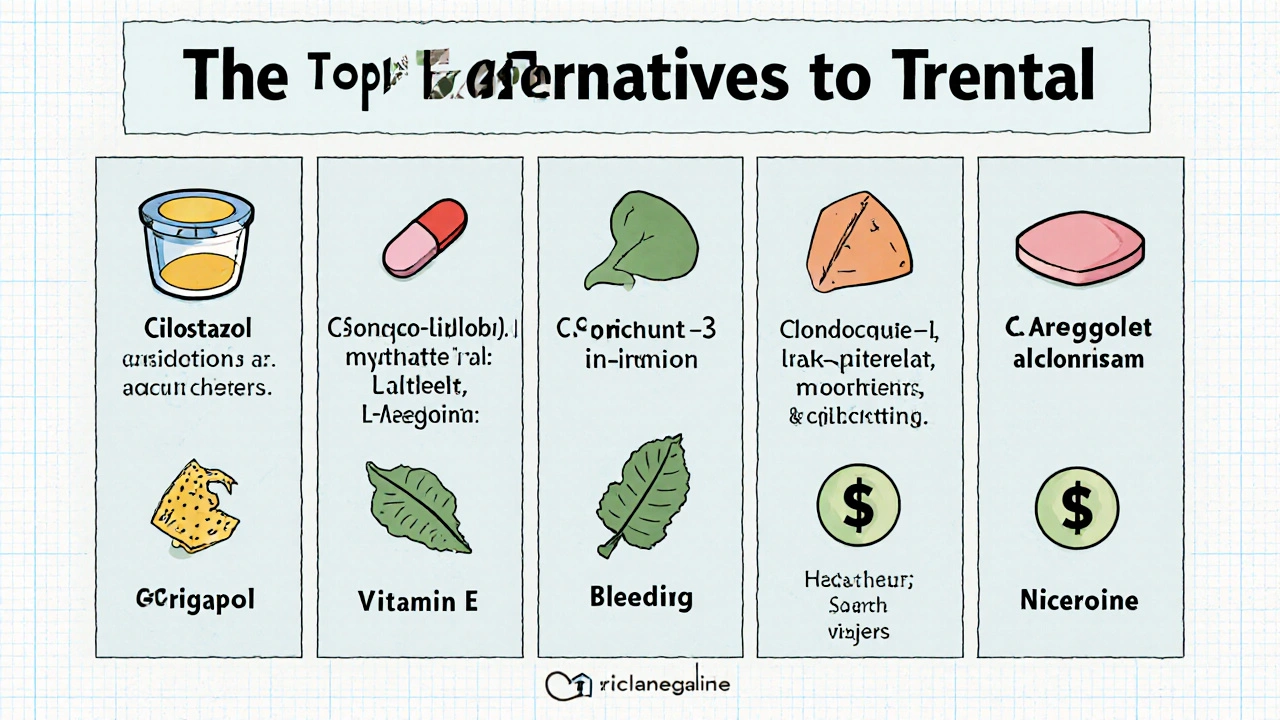 Cartoon illustration comparing prescription drugs and supplements for blood flow with icons and brief notes.