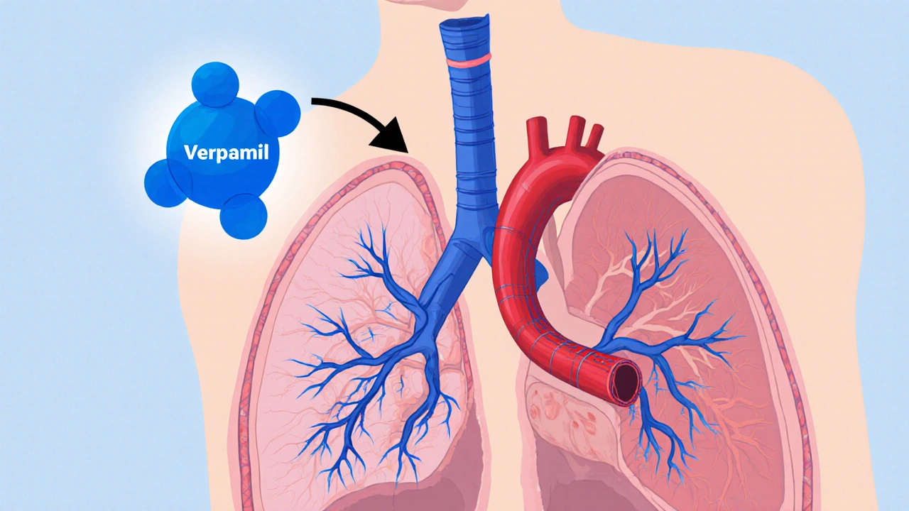 Verapamil’s Role in Treating Idiopathic Pulmonary Arterial Hypertension
