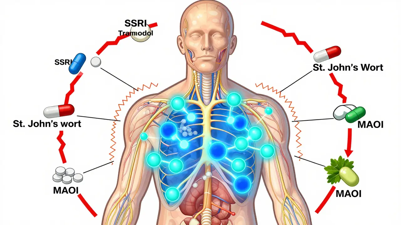SSRI Antidepressants and Serotonin Syndrome Risk from Drug Interactions